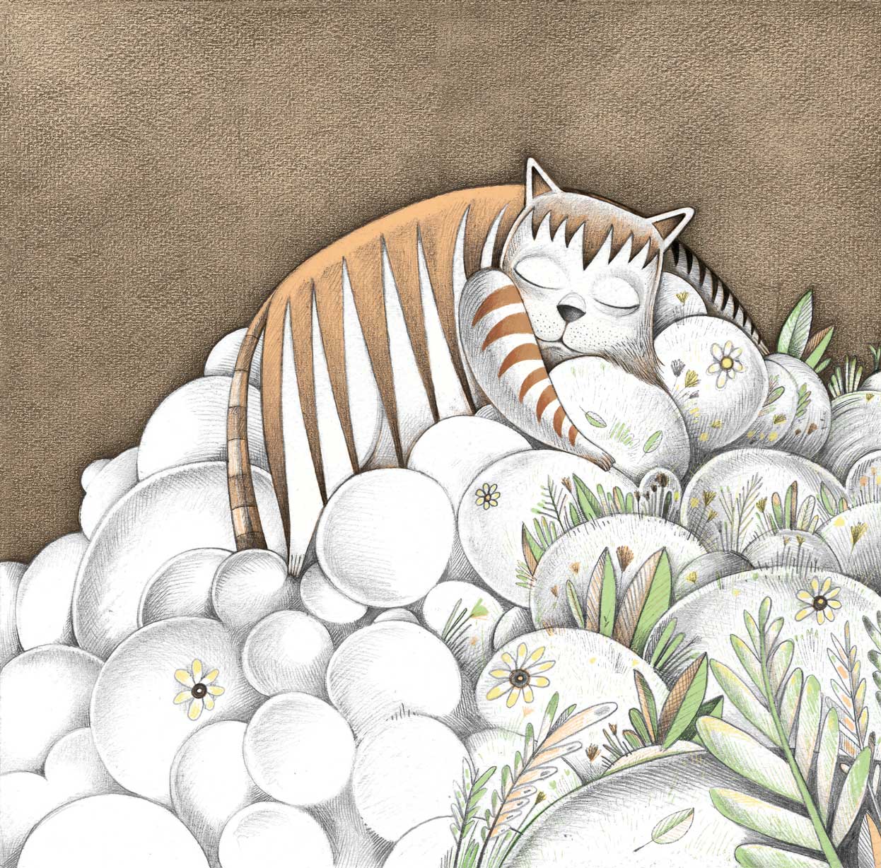 13-Tigre
