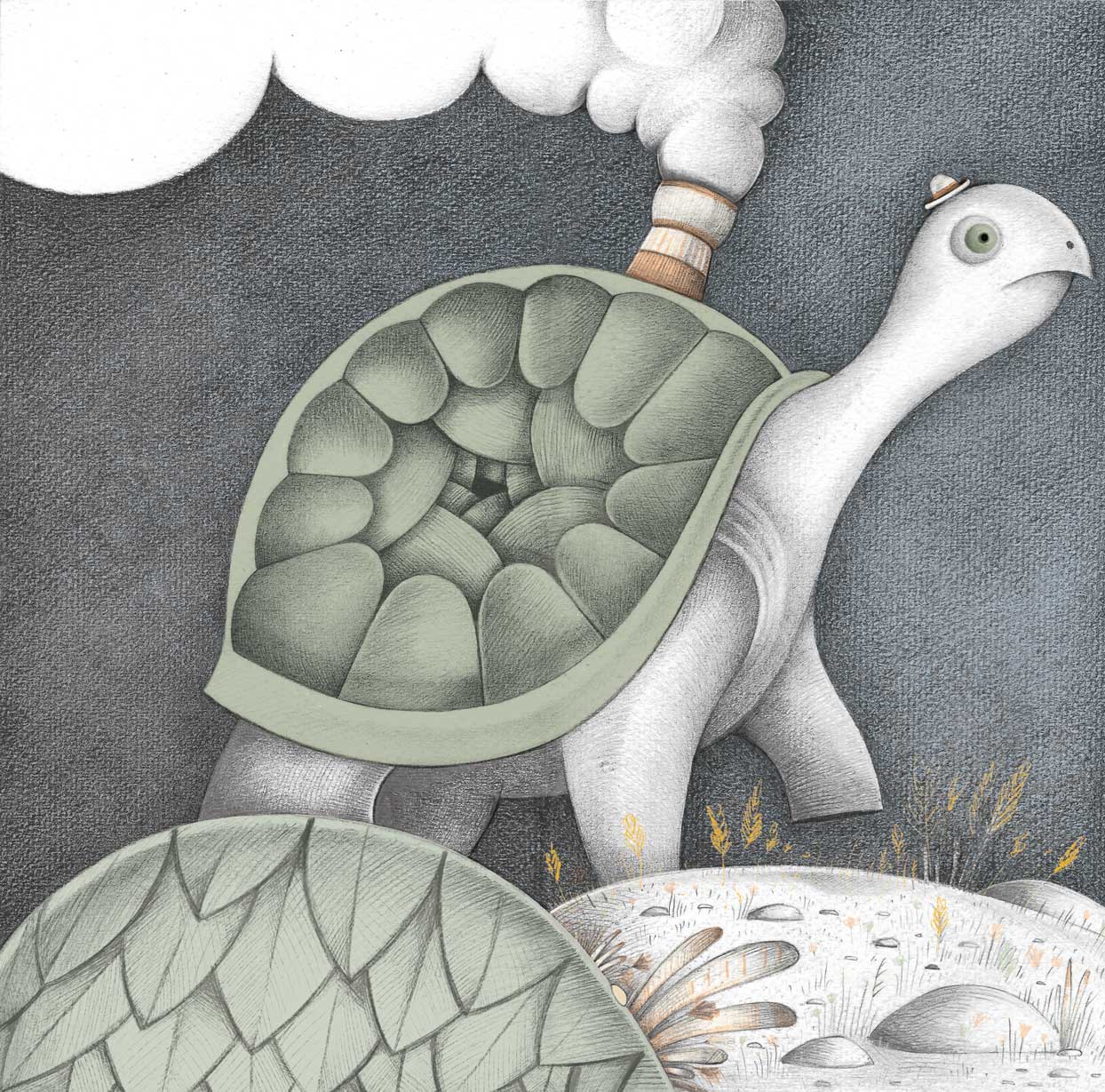 7-Tartaruga